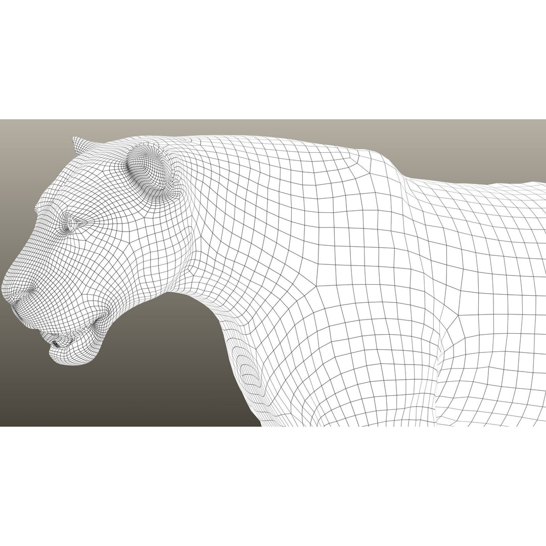 Lion 3D Model – High Detailed Rigged Character with XGEN Core - View 17