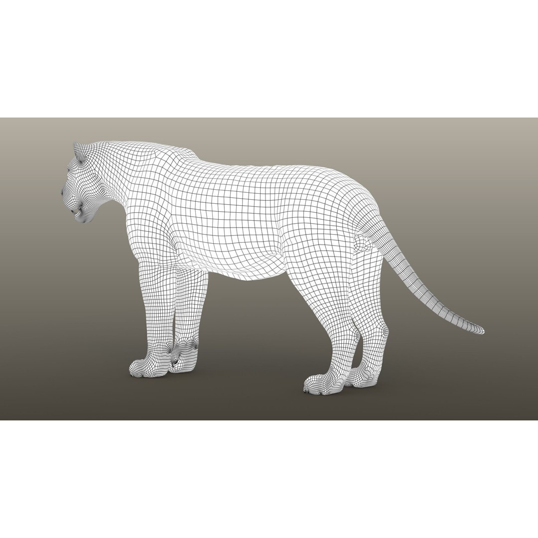 Lion 3D Model – High Detailed Rigged Character with XGEN Core - View 19
