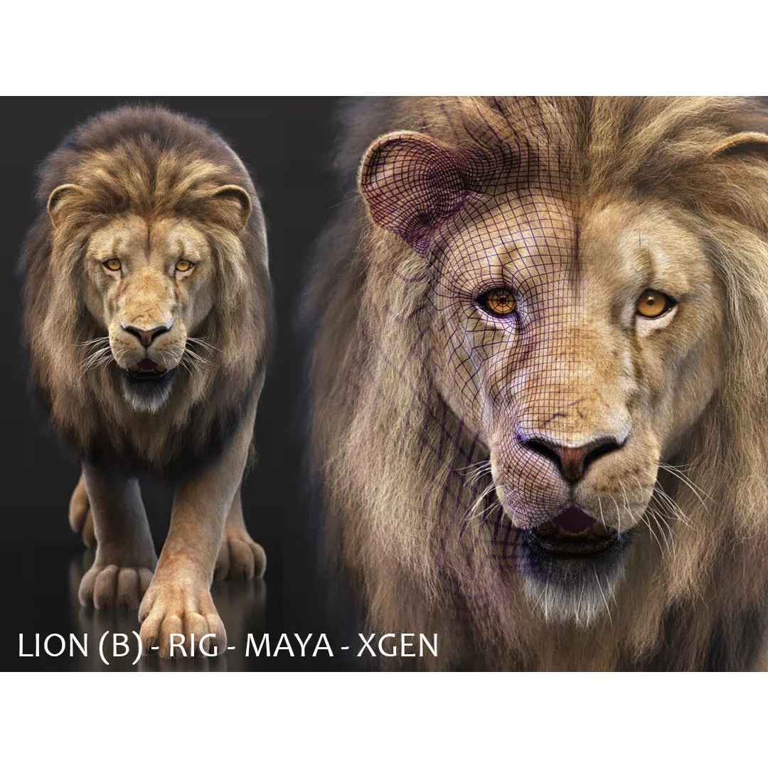 Lion 3D Model – High Detailed Rigged Character with XGEN Core - View 2