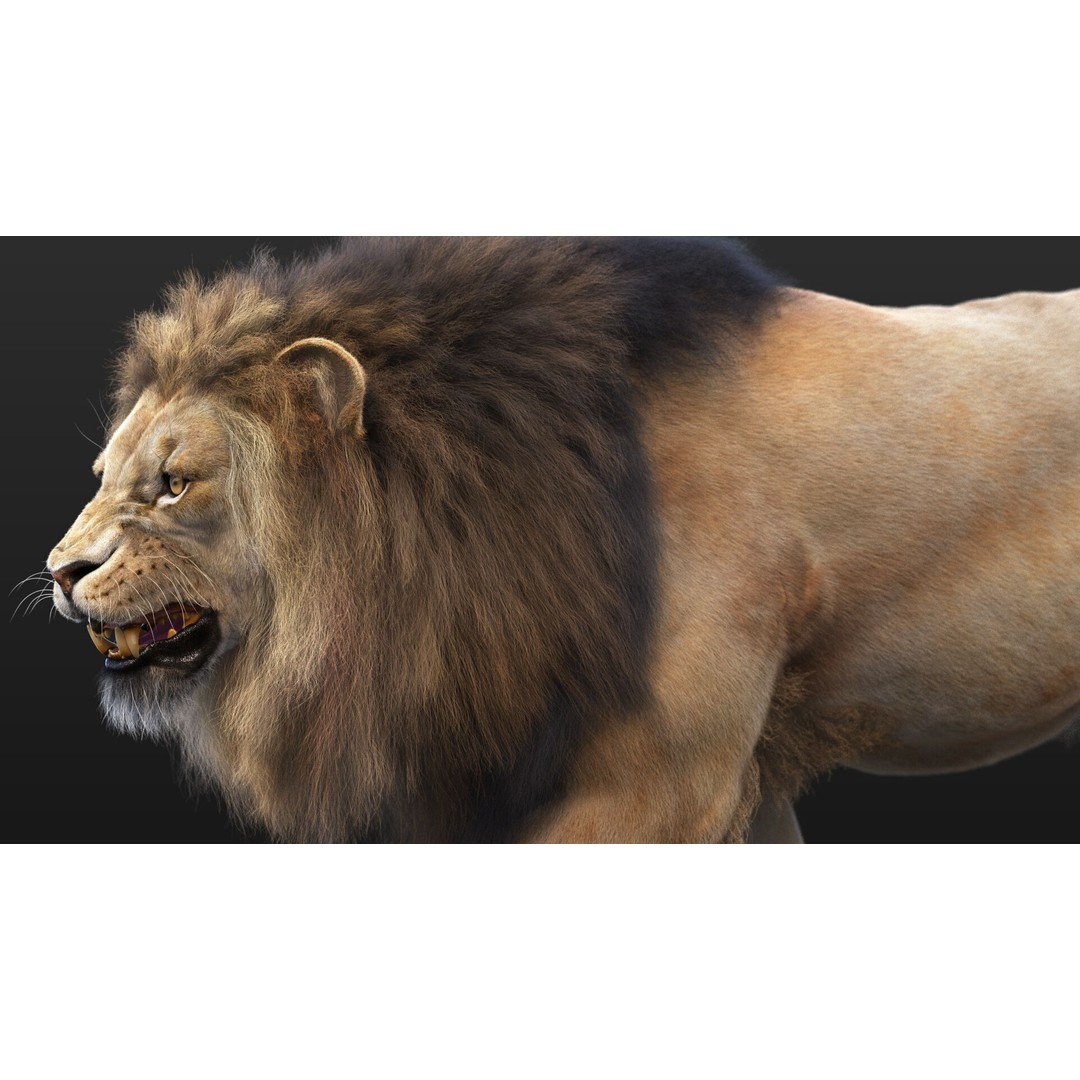 Lion 3D Model – High Detailed Rigged Character with XGEN Core - View 9