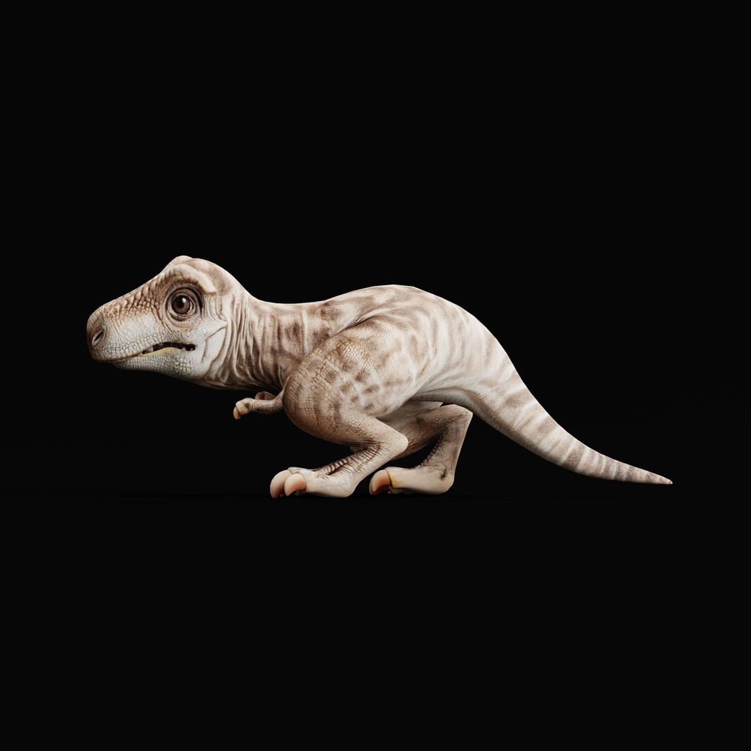 Baby T-Rex 3D Model – Low Poly Game Ready Character, FBX & Blender - View 11