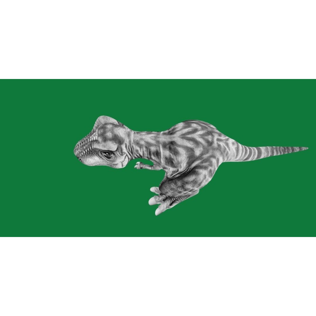 Baby T-Rex 3D Model – Low Poly Game Ready Character, FBX & Blender - View 16