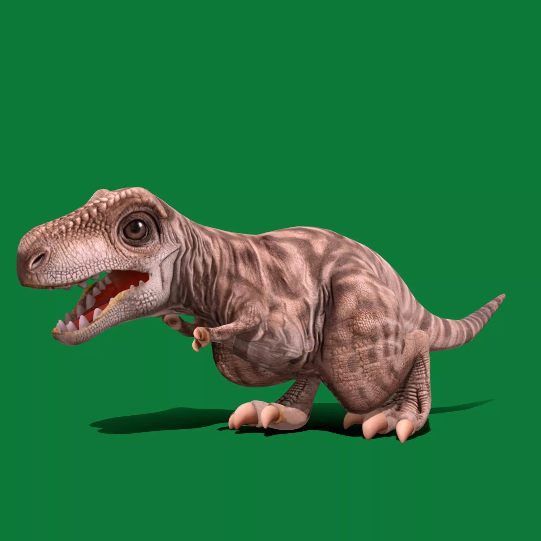 Baby T-Rex 3D Model – Low Poly Game Ready Character, FBX & Blender - View 2