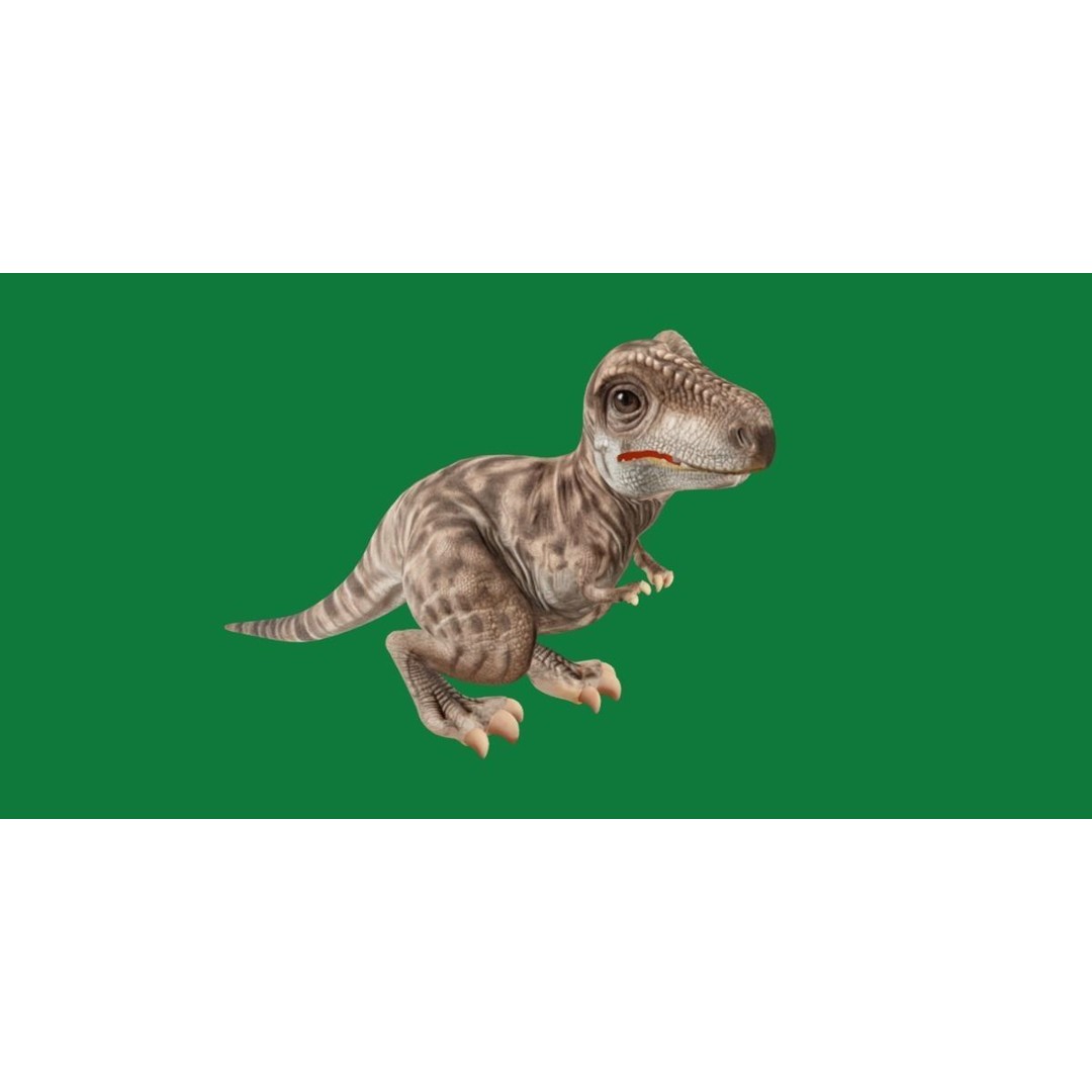 Baby T-Rex 3D Model – Low Poly Game Ready Character, FBX & Blender - View 25