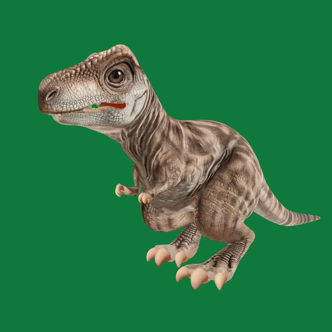 Baby T-Rex 3D Model – Low Poly Game Ready Character, FBX & Blender - View 26