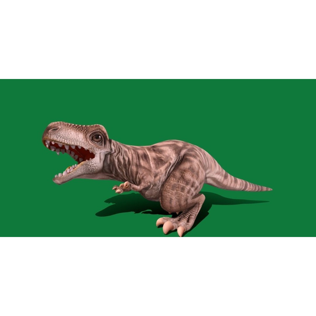 Baby T-Rex 3D Model – Low Poly Game Ready Character, FBX & Blender - View 27