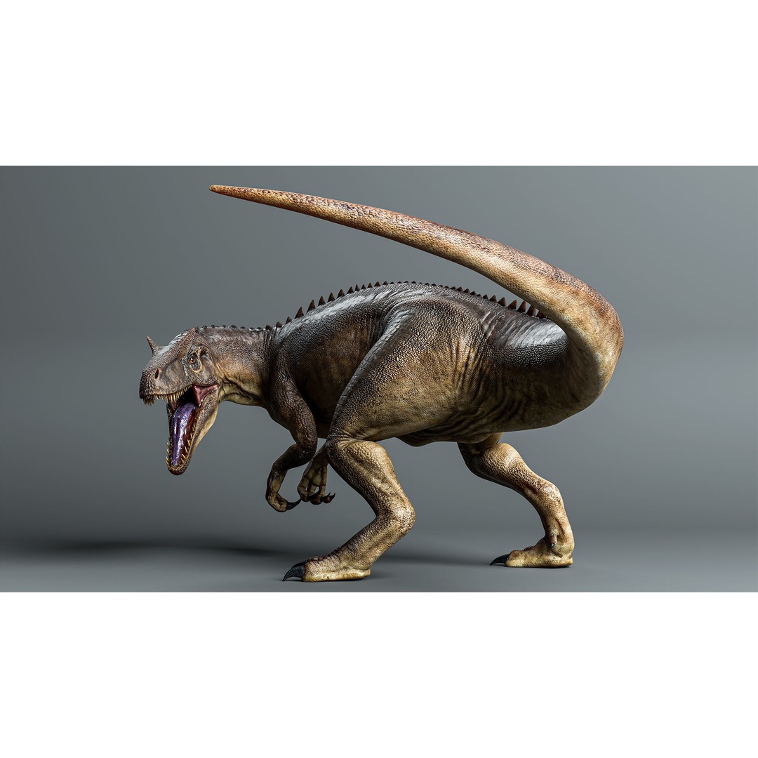 Allosaurus 3D Model – Low Poly Rigged Dinosaur, FBX & Blender - View 3