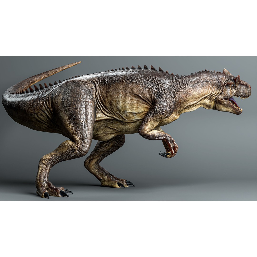 Allosaurus 3D Model – Low Poly Rigged Dinosaur, FBX & Blender - View 4