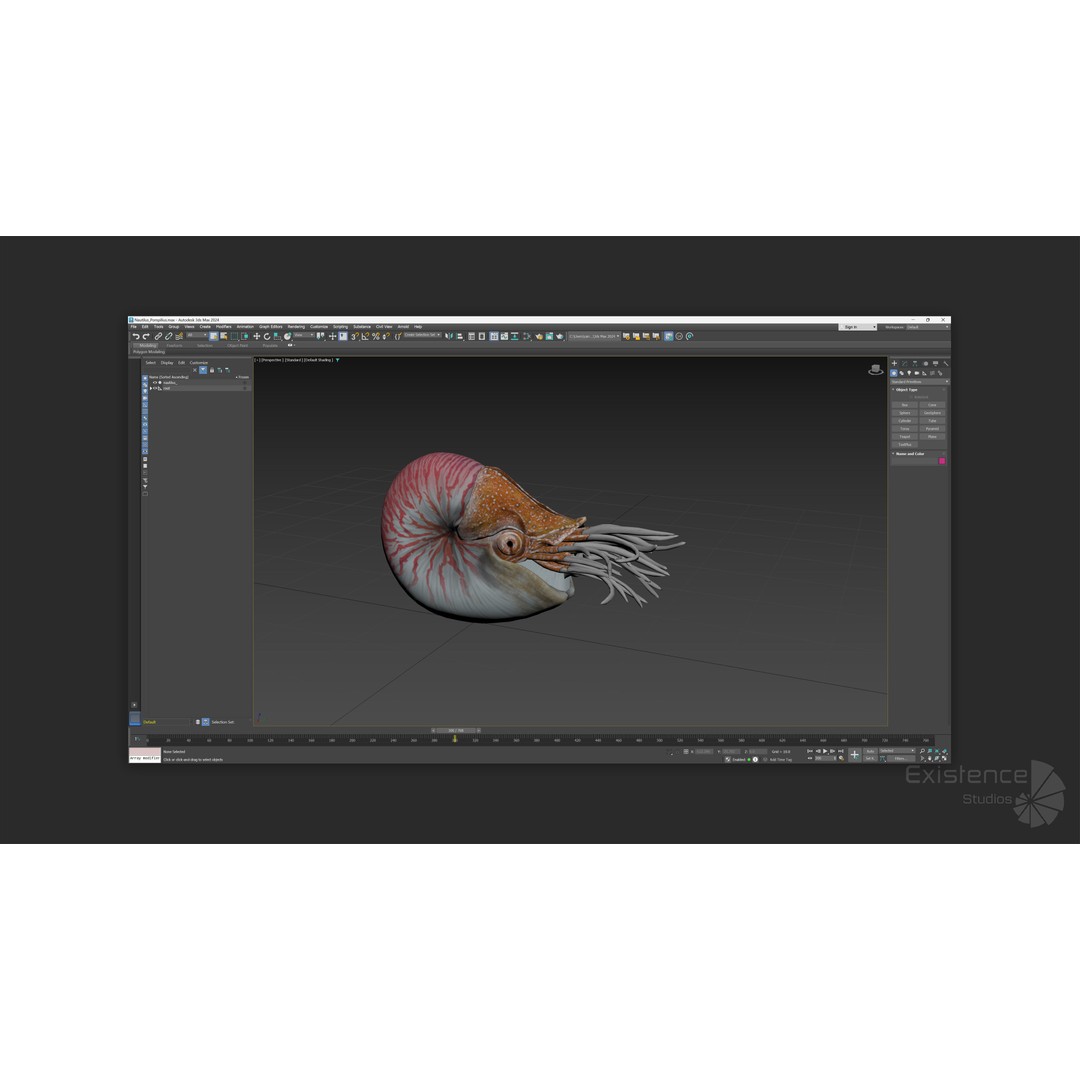 Nautilus Pompilius 3D Model – Low Poly Rigged Creature with PBR Textures, FBX - View 11