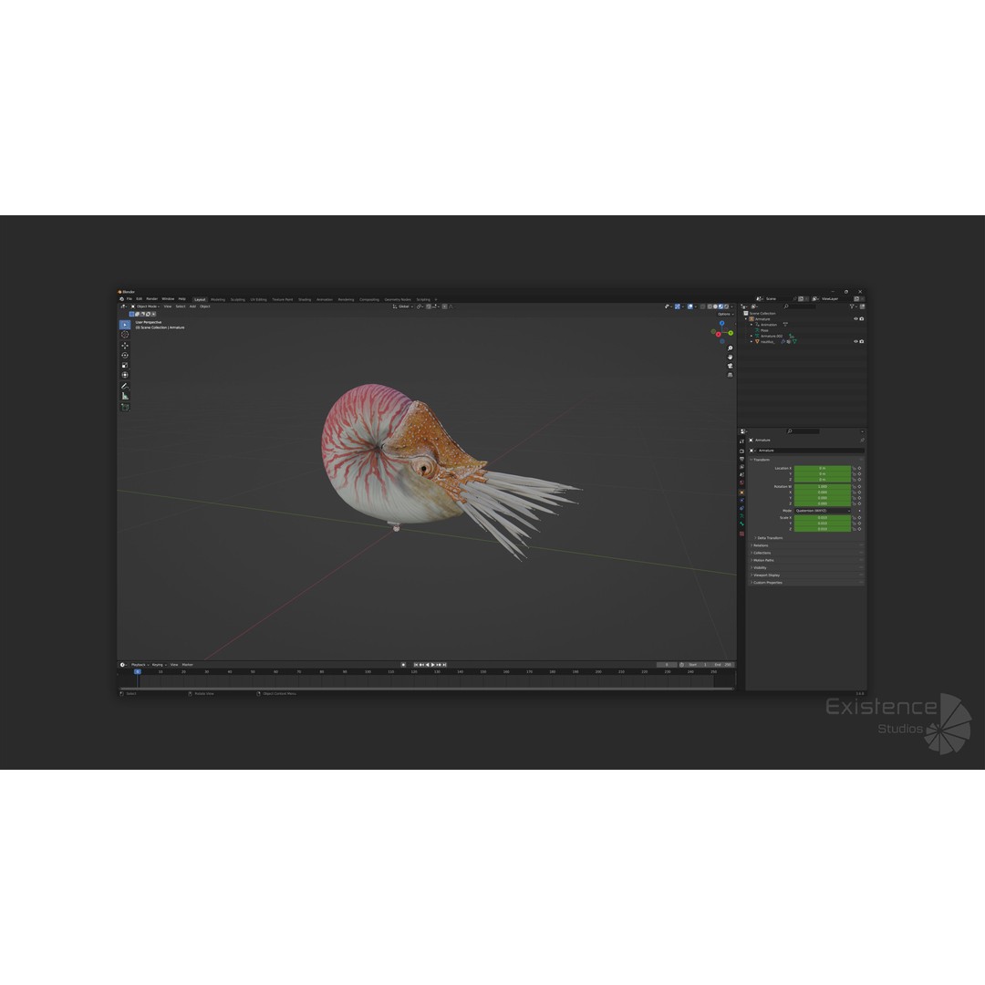 Nautilus Pompilius 3D Model – Low Poly Rigged Creature with PBR Textures, FBX - View 12