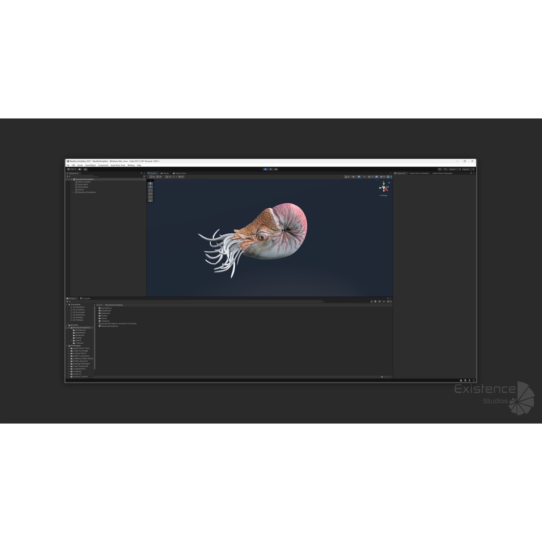 Nautilus Pompilius 3D Model – Low Poly Rigged Creature with PBR Textures, FBX - View 14