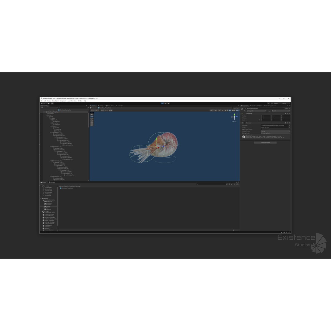 Nautilus Pompilius 3D Model – Low Poly Rigged Creature with PBR Textures, FBX - View 15
