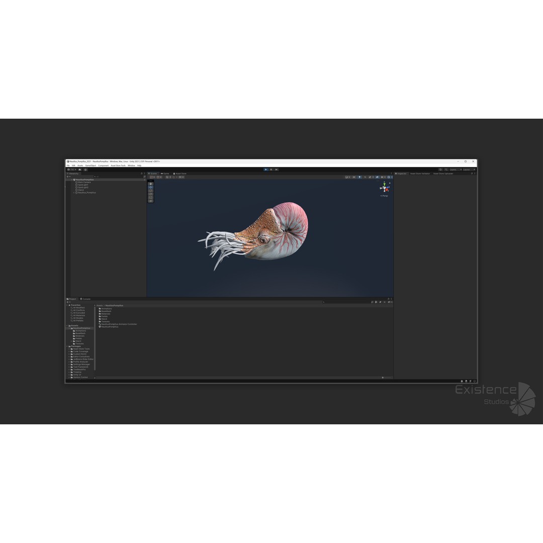 Nautilus Pompilius 3D Model – Low Poly Rigged Creature with PBR Textures, FBX - View 16