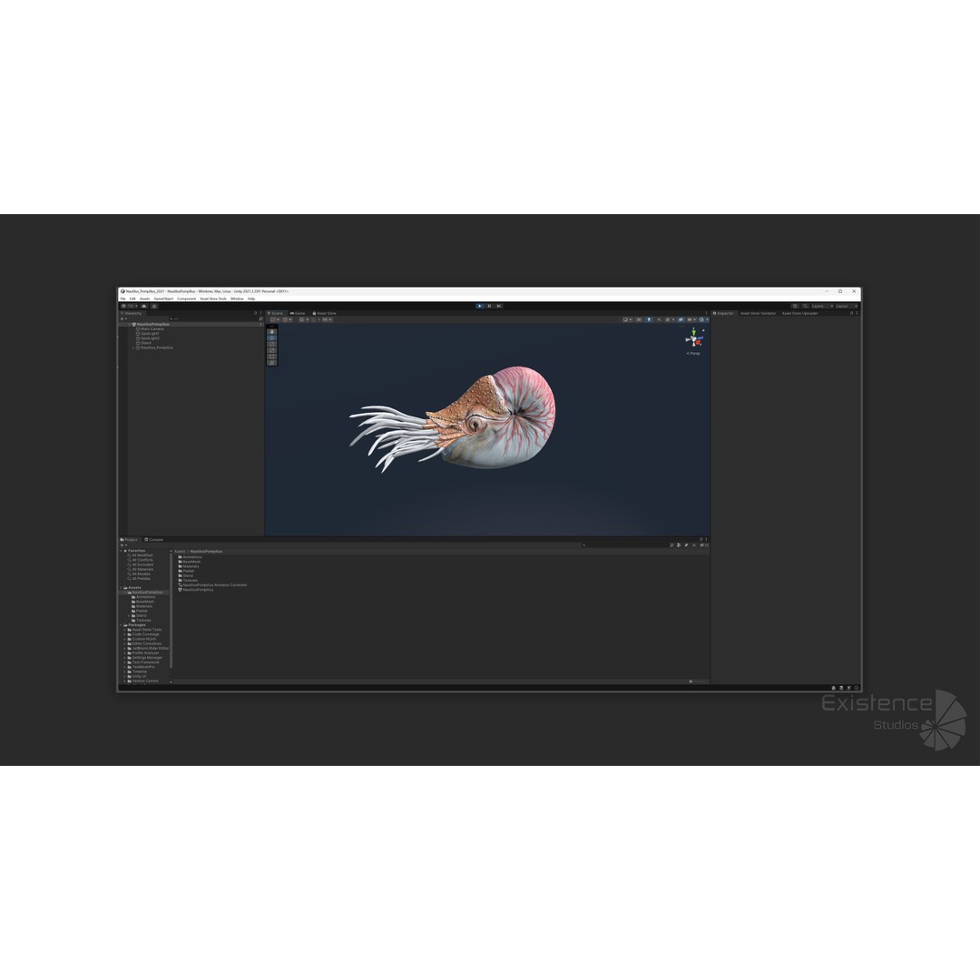 Nautilus Pompilius 3D Model – Low Poly Rigged Creature with PBR Textures, FBX - View 17