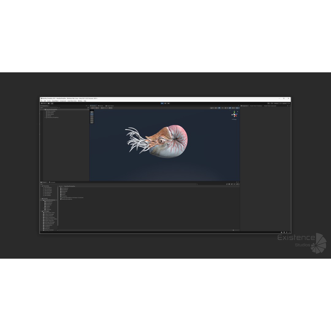 Nautilus Pompilius 3D Model – Low Poly Rigged Creature with PBR Textures, FBX - View 18