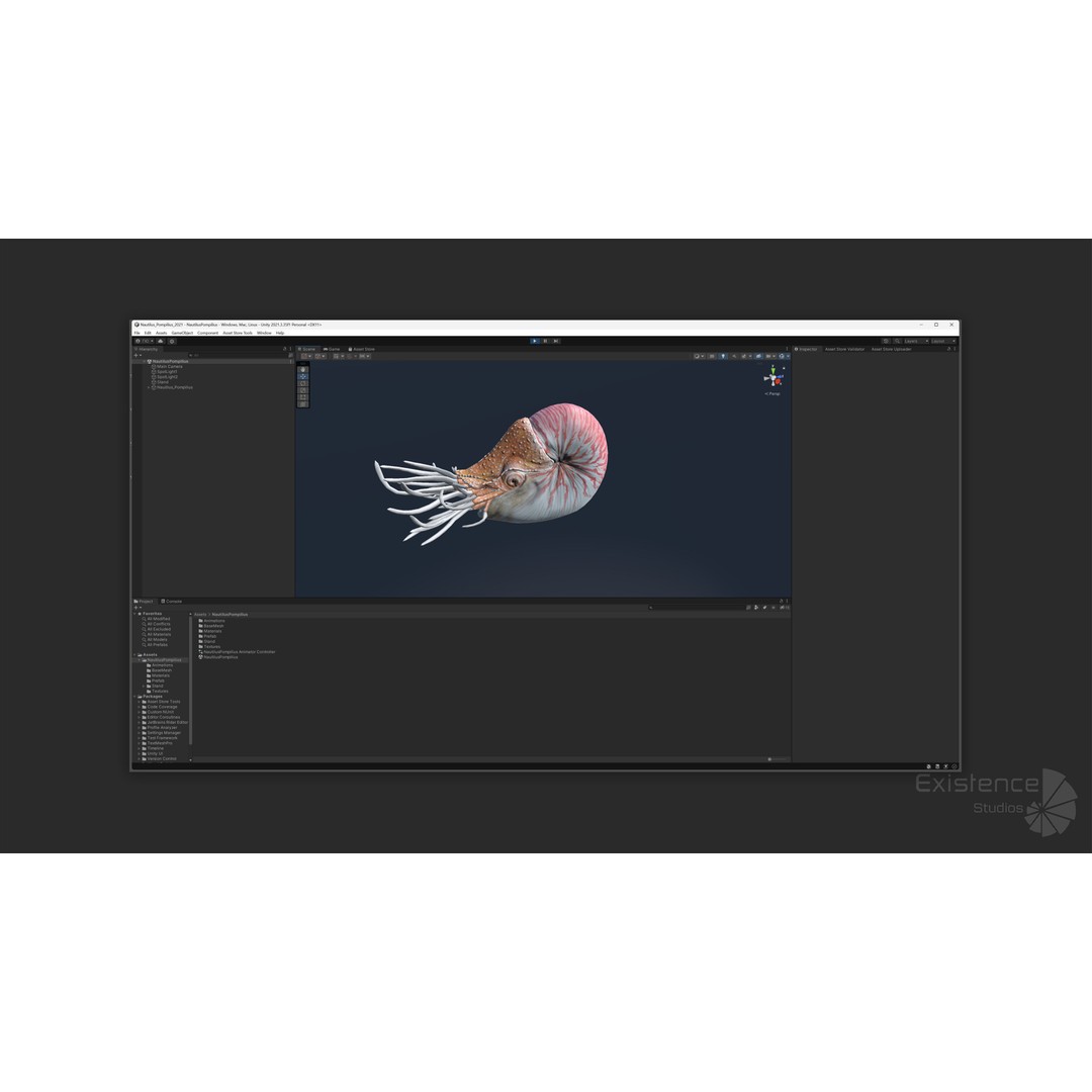 Nautilus Pompilius 3D Model – Low Poly Rigged Creature with PBR Textures, FBX - View 19