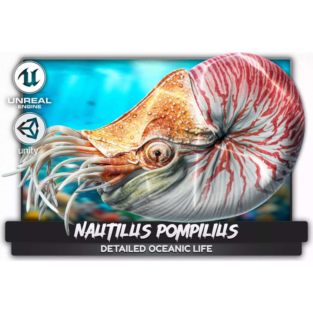 Nautilus Pompilius 3D Model – Low Poly Rigged Creature with PBR Textures, FBX - View 2