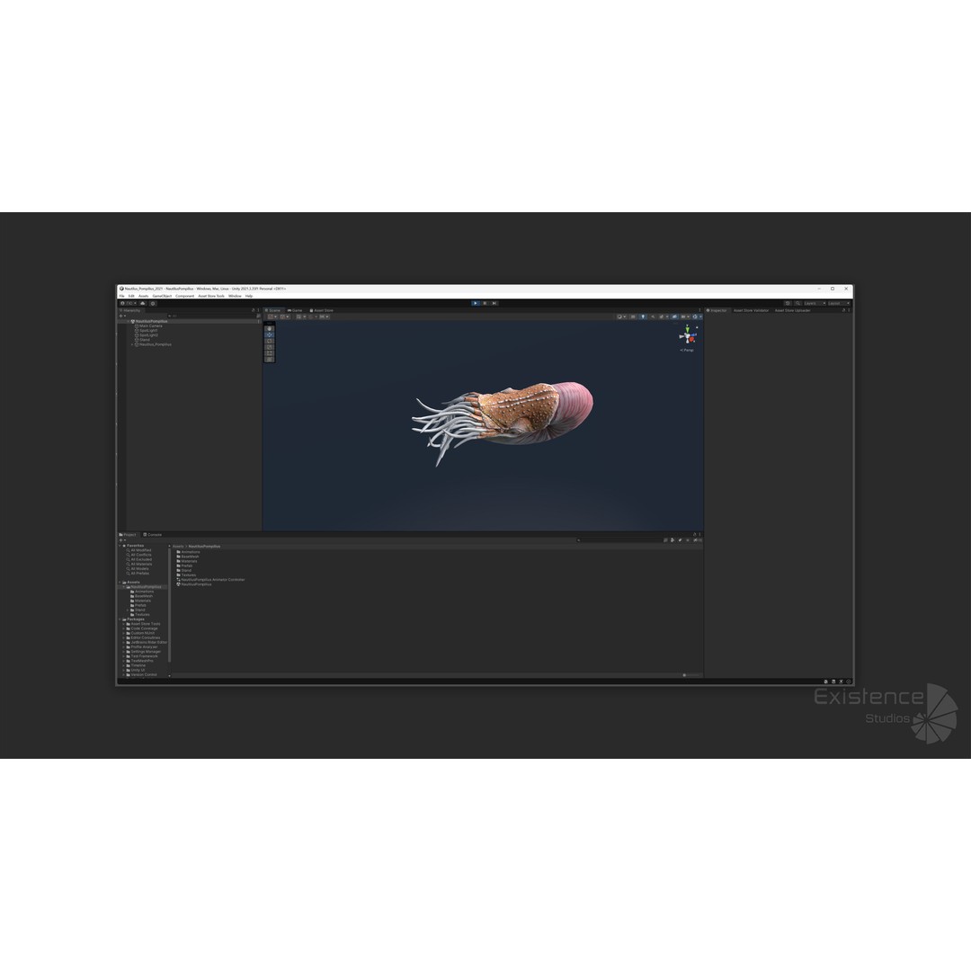 Nautilus Pompilius 3D Model – Low Poly Rigged Creature with PBR Textures, FBX - View 20