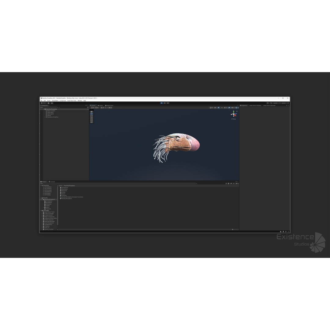 Nautilus Pompilius 3D Model – Low Poly Rigged Creature with PBR Textures, FBX - View 21
