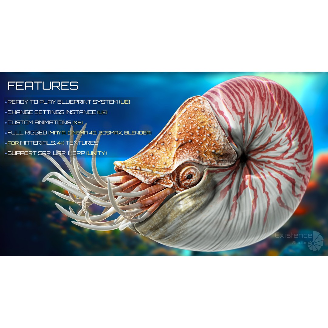 Nautilus Pompilius 3D Model – Low Poly Rigged Creature with PBR Textures, FBX - View 4