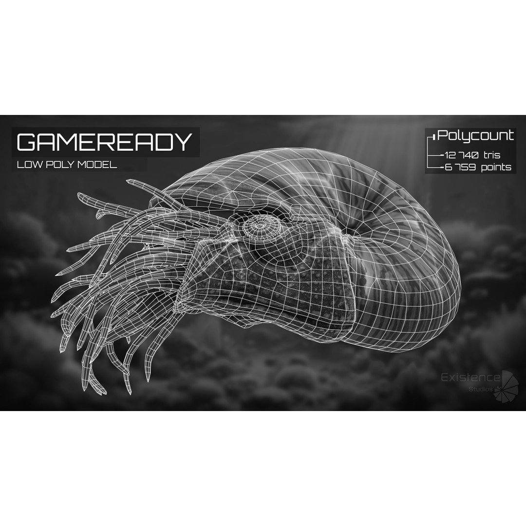 Nautilus Pompilius 3D Model – Low Poly Rigged Creature with PBR Textures, FBX - View 6