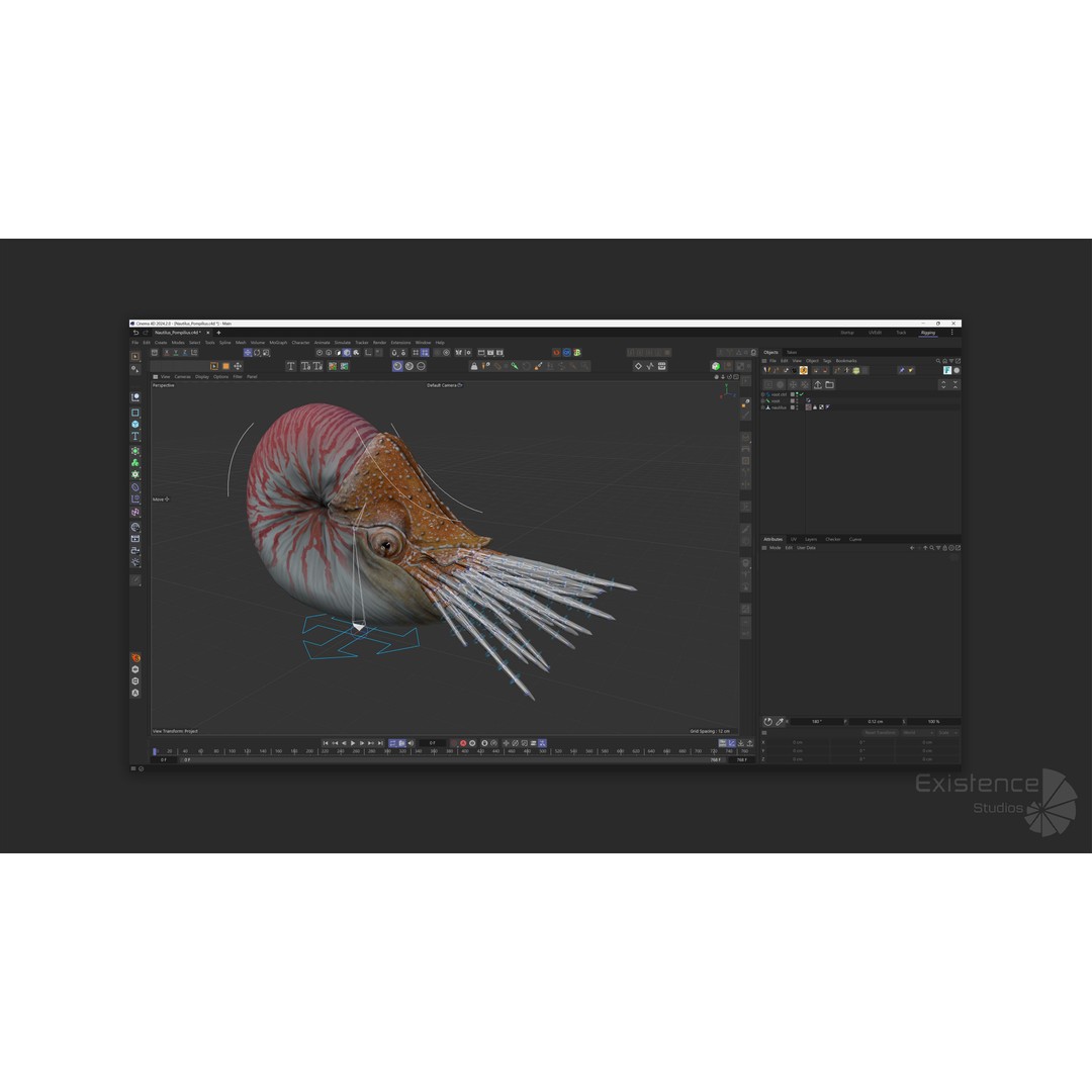 Nautilus Pompilius 3D Model – Low Poly Rigged Creature with PBR Textures, FBX - View 9