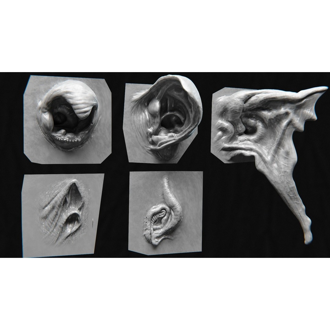 Creature Ear 3D Model – High Poly VDM Sculpt, OBJ, FBX Formats - View 10