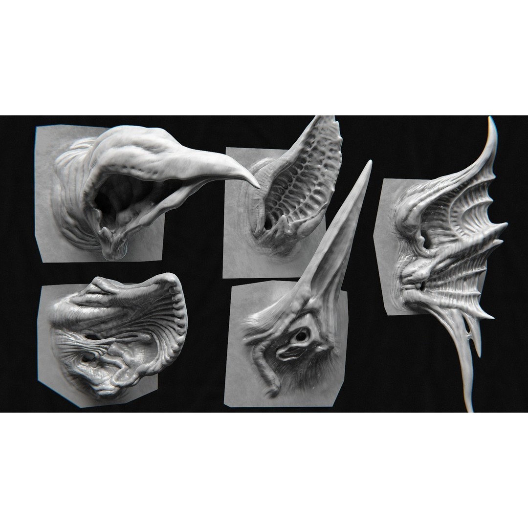 Creature Ear 3D Model – High Poly VDM Sculpt, OBJ, FBX Formats - View 11