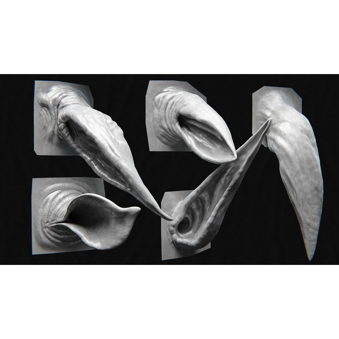 Creature Ear 3D Model – High Poly VDM Sculpt, OBJ, FBX Formats - View 12