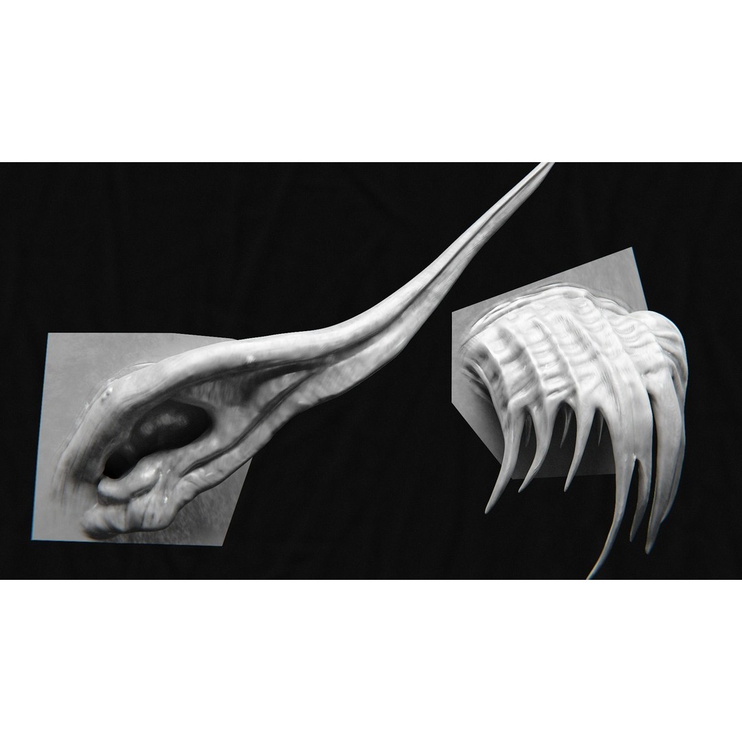 Creature Ear 3D Model – High Poly VDM Sculpt, OBJ, FBX Formats - View 13