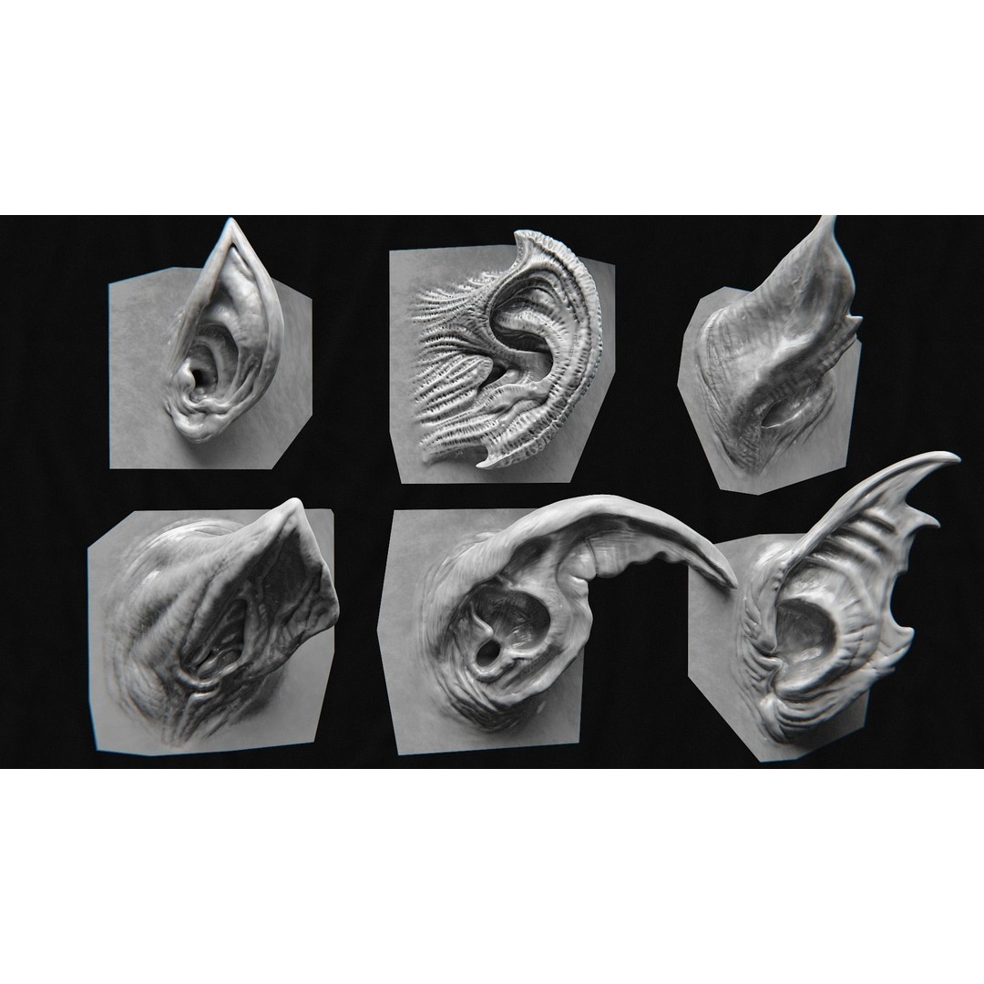 Creature Ear 3D Model – High Poly VDM Sculpt, OBJ, FBX Formats - View 6