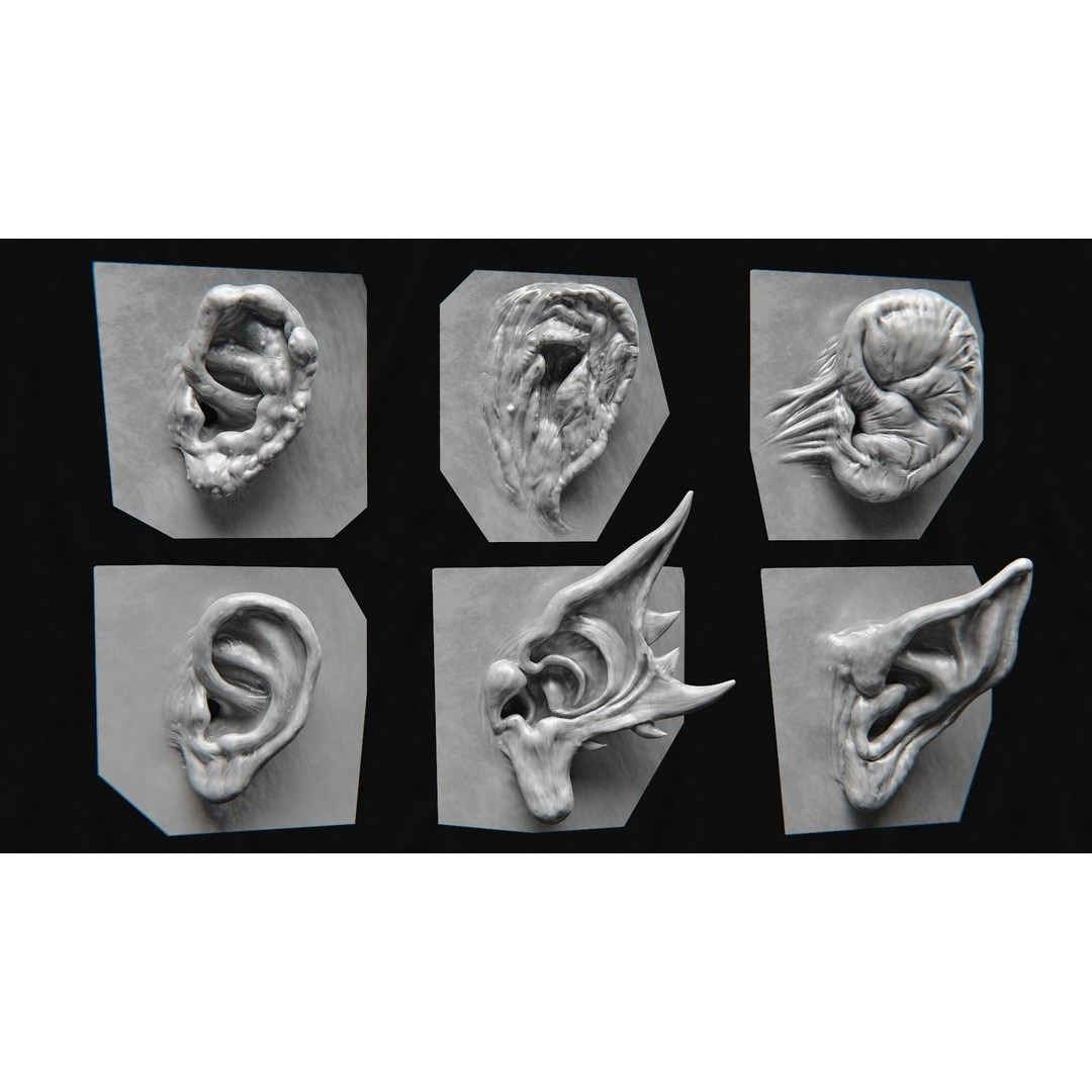 Creature Ear 3D Model – High Poly VDM Sculpt, OBJ, FBX Formats - View 7