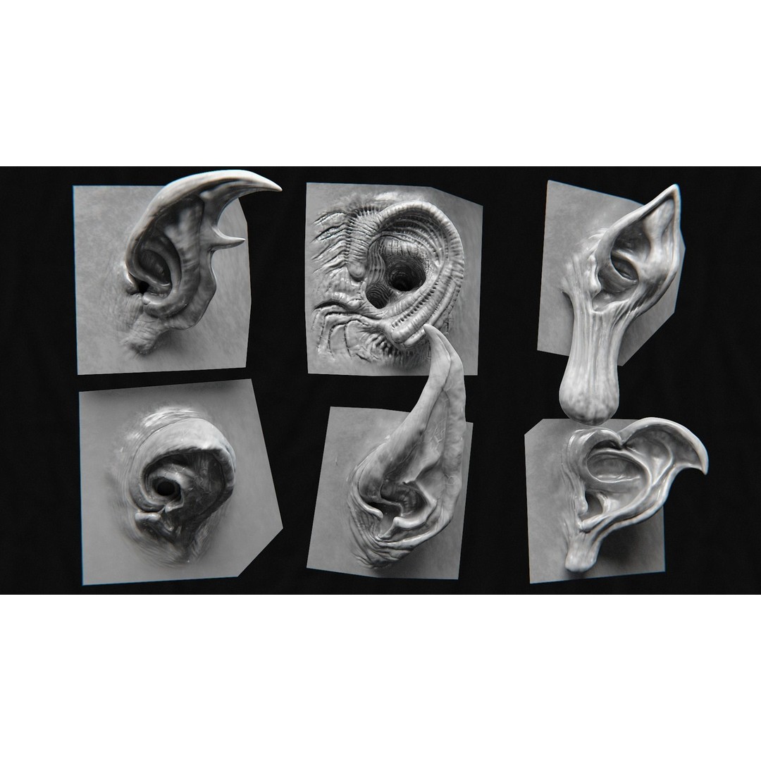 Creature Ear 3D Model – High Poly VDM Sculpt, OBJ, FBX Formats - View 8