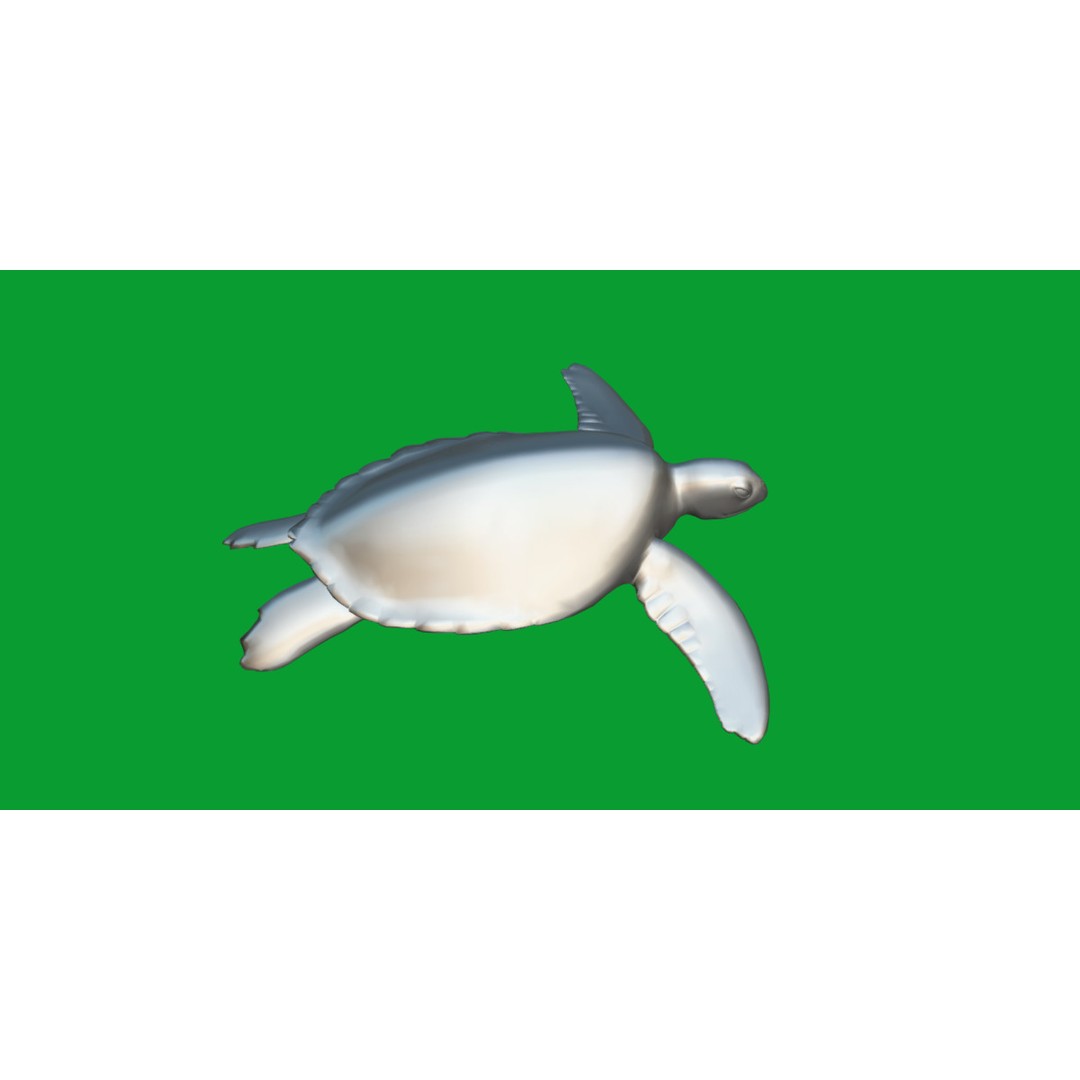 Sea Turtle 3D Model – Low Poly Game Ready, FBX & Blender Formats - View 13