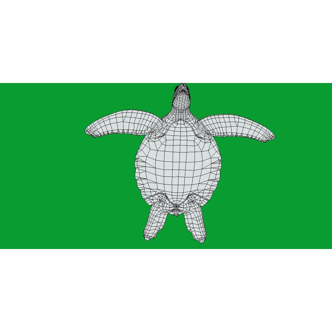 Sea Turtle 3D Model – Low Poly Game Ready, FBX & Blender Formats - View 17
