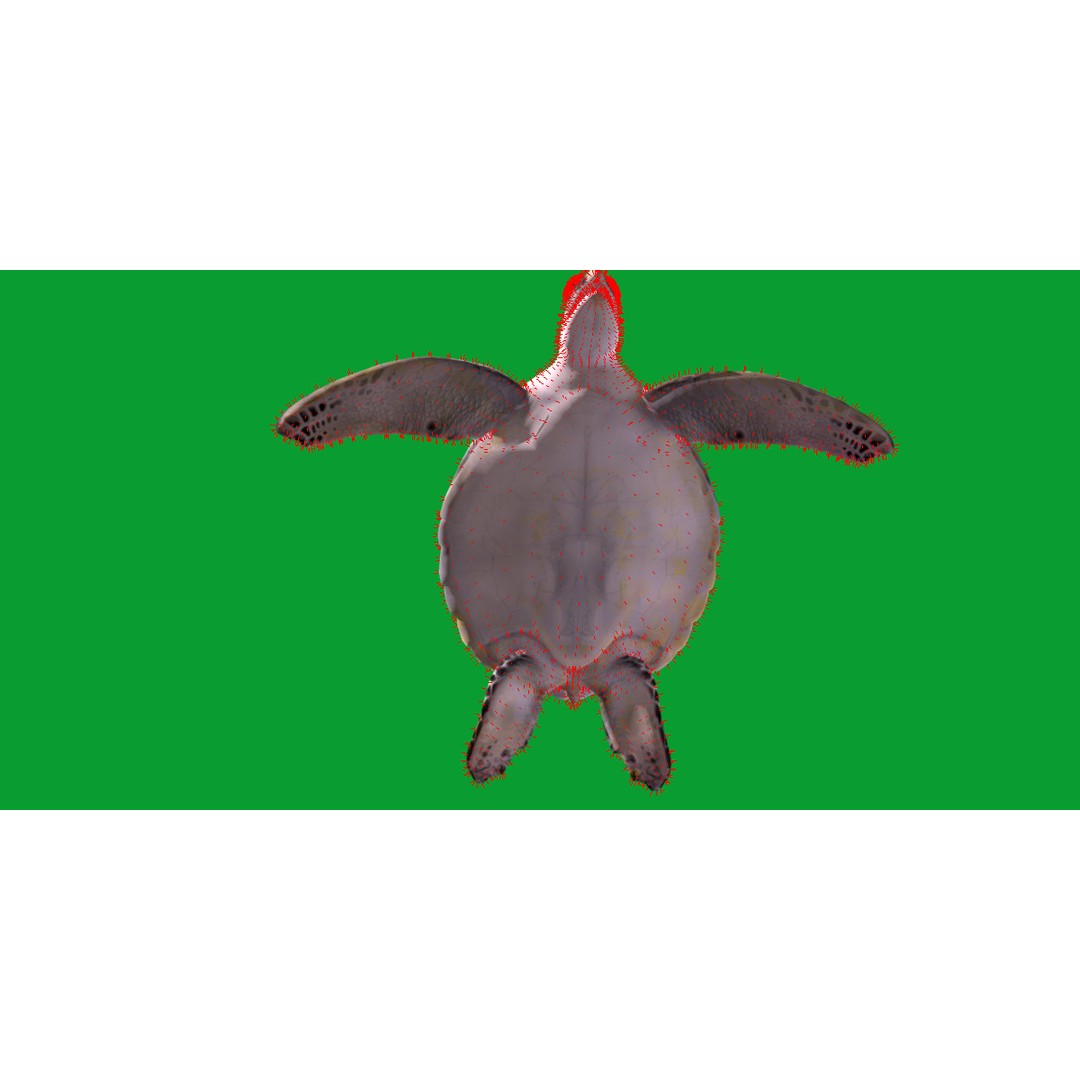 Sea Turtle 3D Model – Low Poly Game Ready, FBX & Blender Formats - View 18