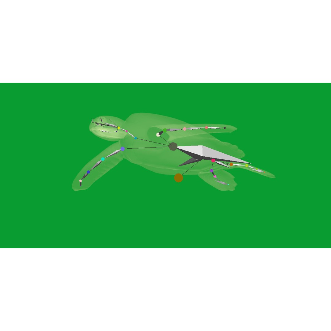 Sea Turtle 3D Model – Low Poly Game Ready, FBX & Blender Formats - View 25