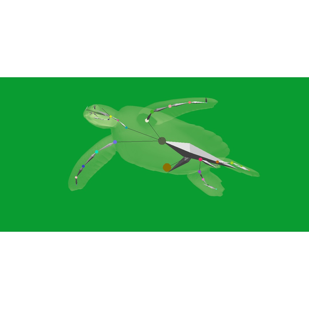Sea Turtle 3D Model – Low Poly Game Ready, FBX & Blender Formats - View 26