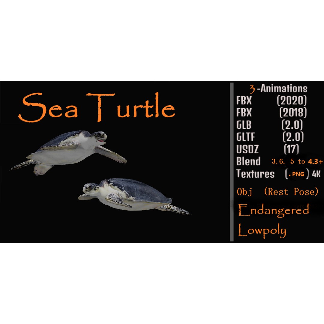 Sea Turtle 3D Model – Low Poly Game Ready, FBX & Blender Formats - View 3