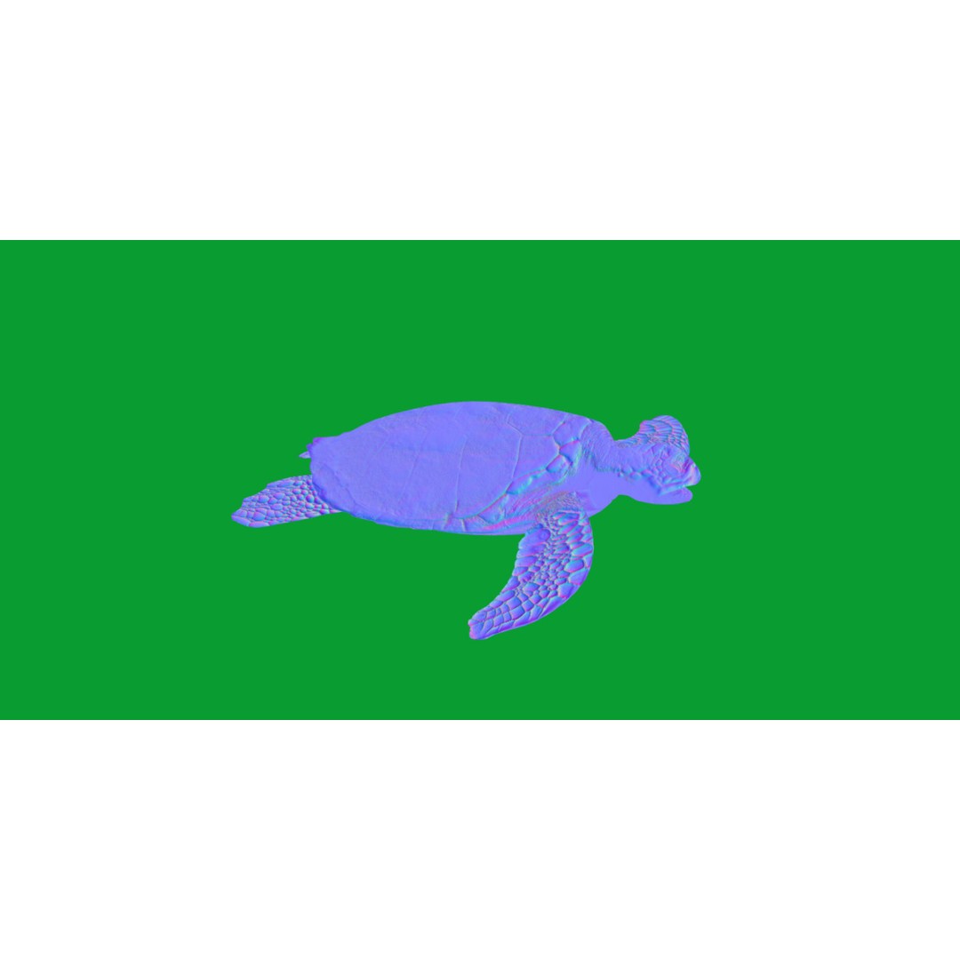 Sea Turtle 3D Model – Low Poly Game Ready, FBX & Blender Formats - View 9