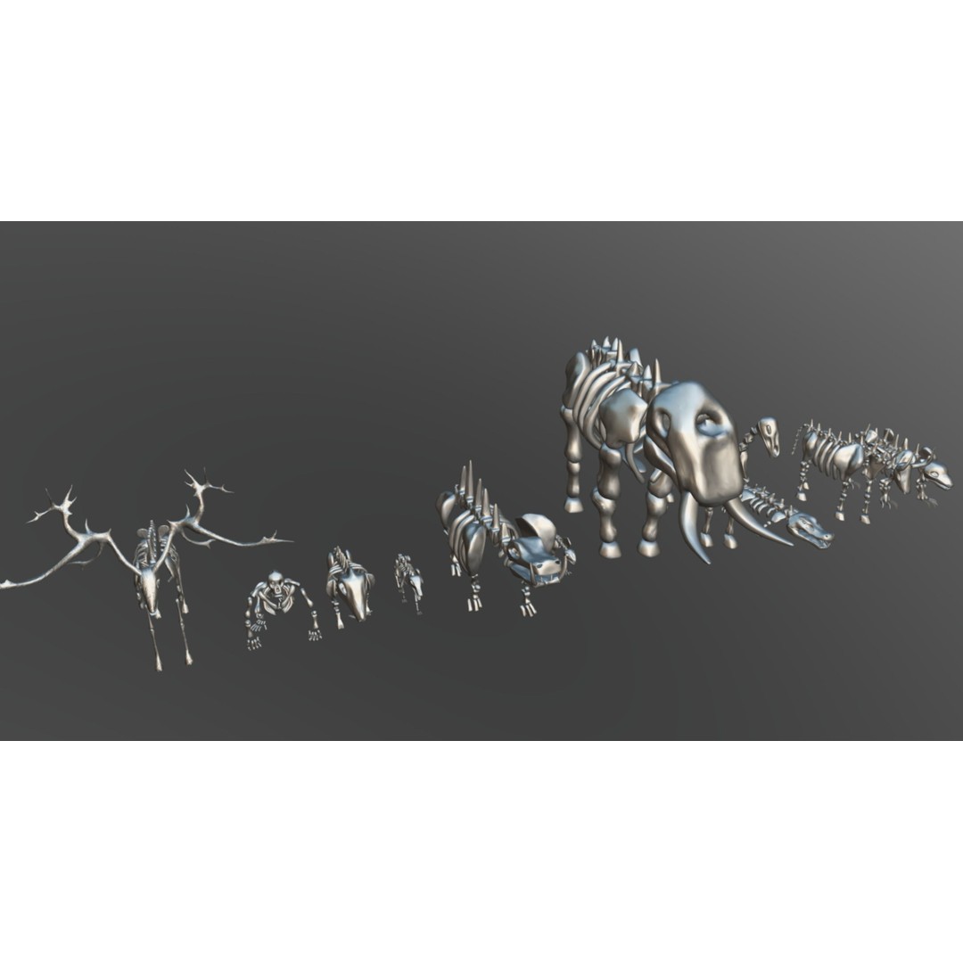 Animal Skeletons 3D Model – Low Poly Rigged Assets, FBX & PBR Textures - View 11