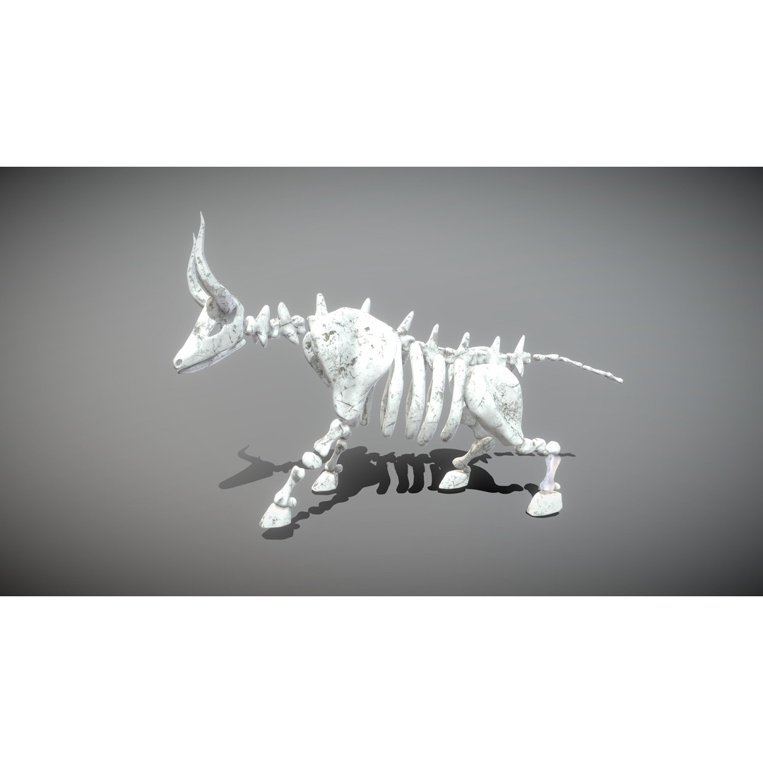 Animal Skeletons 3D Model – Low Poly Rigged Assets, FBX & PBR Textures - View 16