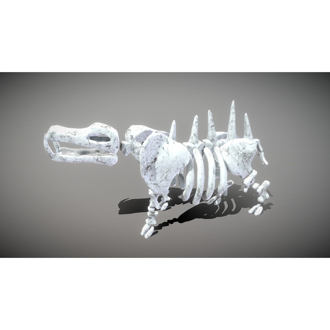 Animal Skeletons 3D Model – Low Poly Rigged Assets, FBX & PBR Textures - View 17