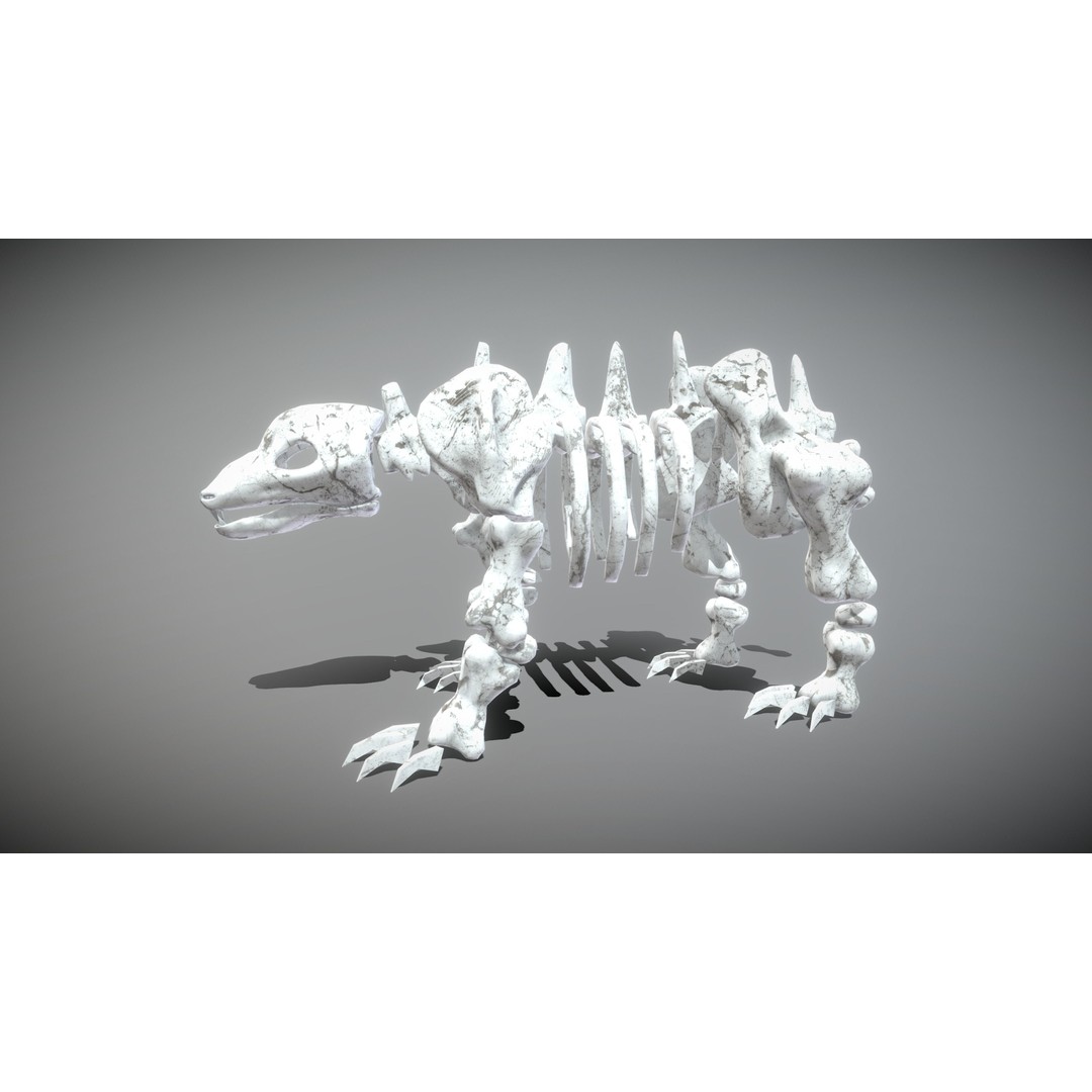 Animal Skeletons 3D Model – Low Poly Rigged Assets, FBX & PBR Textures - View 19