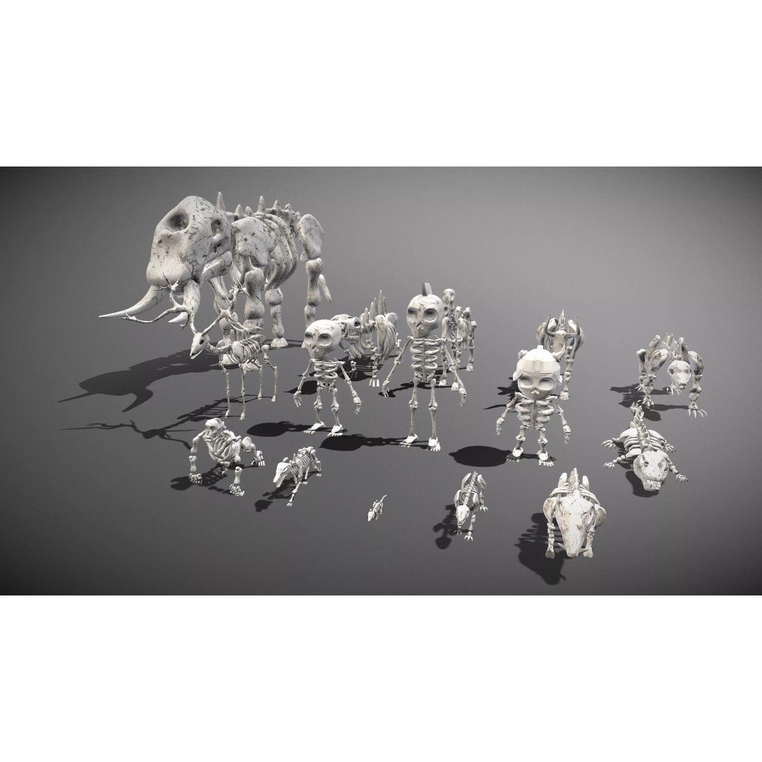 Animal Skeletons 3D Model – Low Poly Rigged Assets, FBX & PBR Textures - View 2