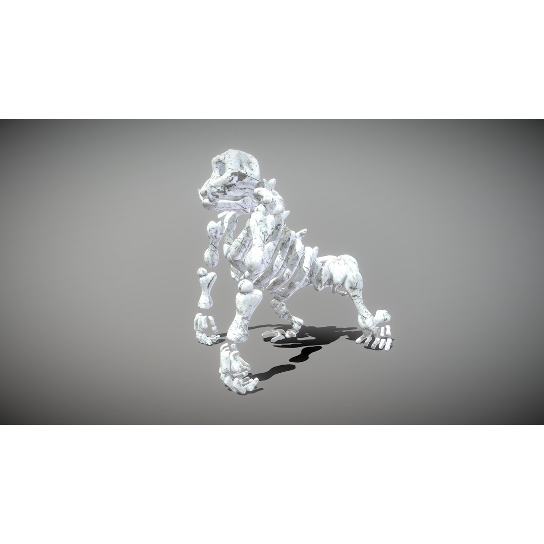 Animal Skeletons 3D Model – Low Poly Rigged Assets, FBX & PBR Textures - View 20