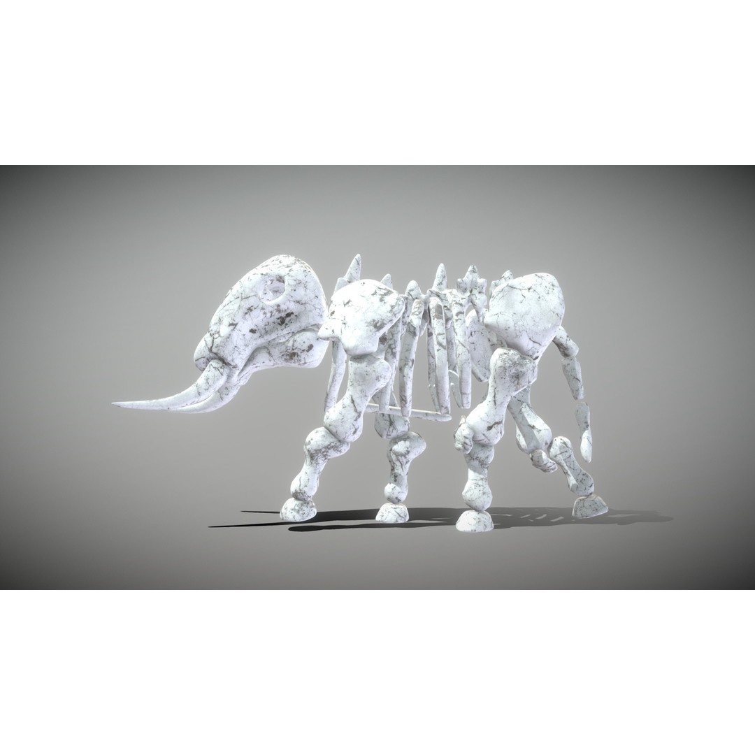 Animal Skeletons 3D Model – Low Poly Rigged Assets, FBX & PBR Textures - View 21