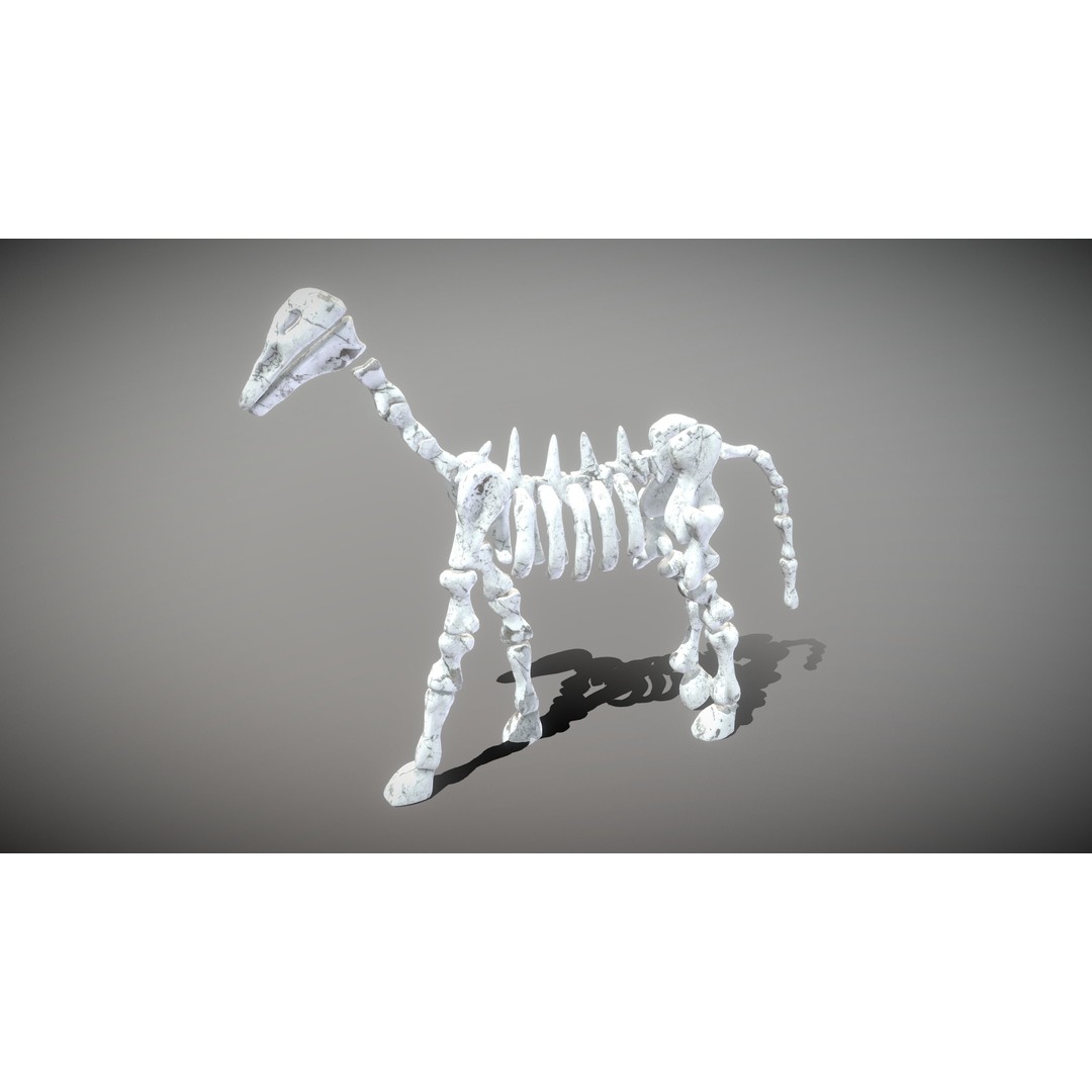 Animal Skeletons 3D Model – Low Poly Rigged Assets, FBX & PBR Textures - View 22