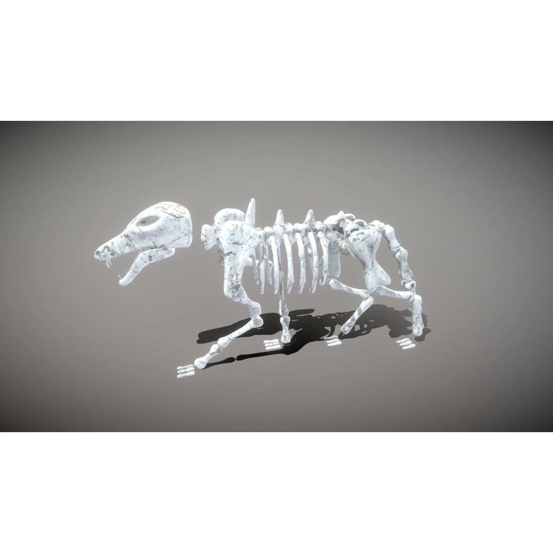 Animal Skeletons 3D Model – Low Poly Rigged Assets, FBX & PBR Textures - View 23