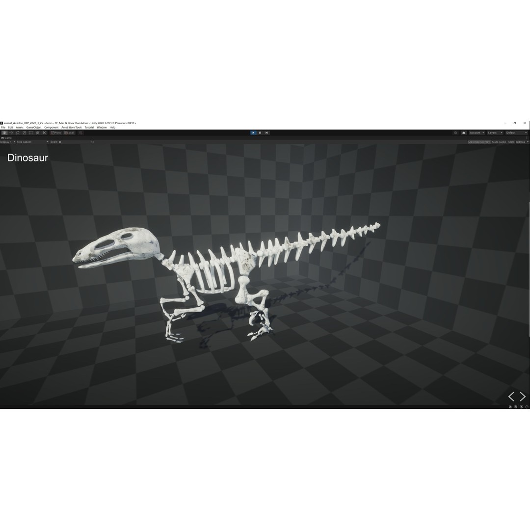 Animal Skeletons 3D Model – Low Poly Rigged Assets, FBX & PBR Textures - View 26